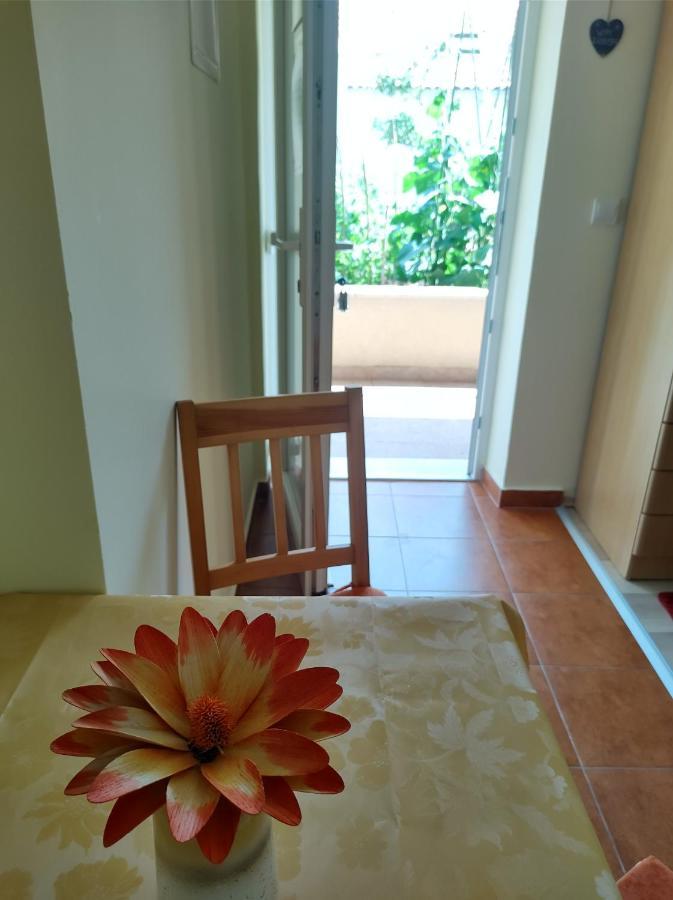 דוברובניק Guesthouse Anna מראה חיצוני תמונה