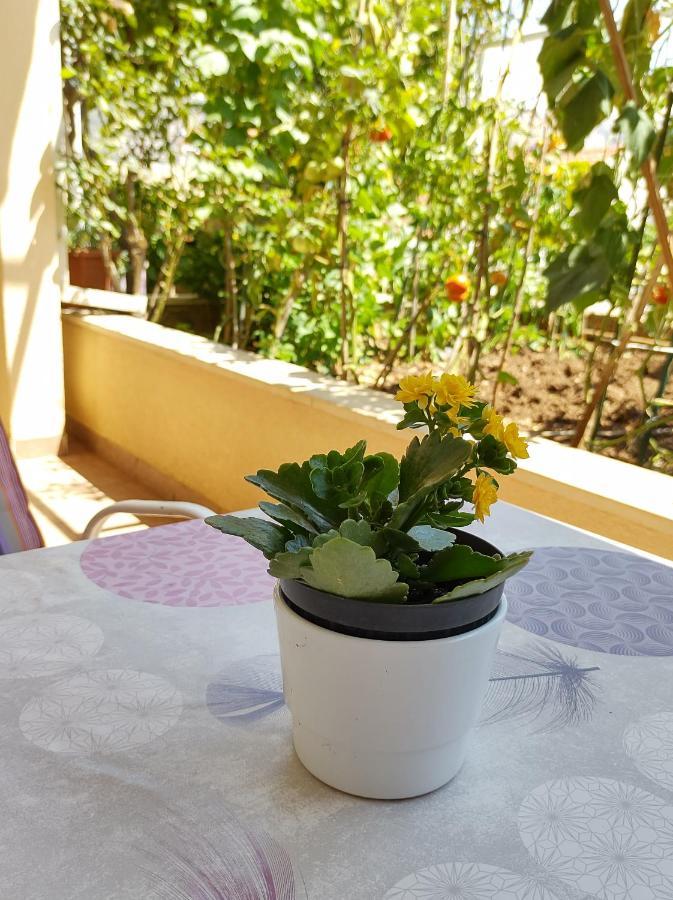 דוברובניק Guesthouse Anna מראה חיצוני תמונה