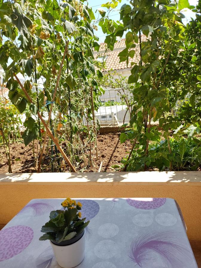 דוברובניק Guesthouse Anna מראה חיצוני תמונה